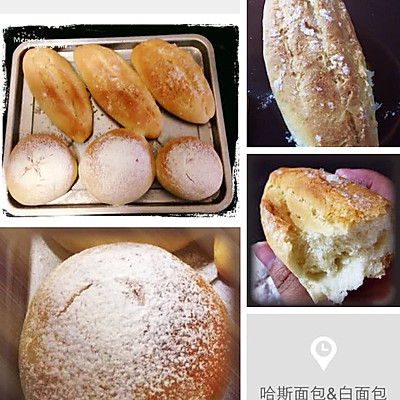 白面包&哈斯面包