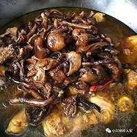 小鸡炖蘑菇的做法图解7