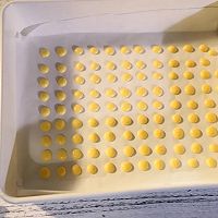 零添加零难度的蛋黄溶豆，宝宝最爱！的做法图解8