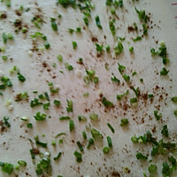 一抖即散的葱花饼的做法图解4