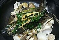 沙白砂锅火焰鱼