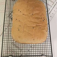黑芝麻花生酱面包（面包机版）的做法图解8