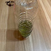 自己种豆芽的做法图解1