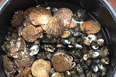 自己捡的海螺