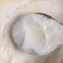 酵母自制老酸奶