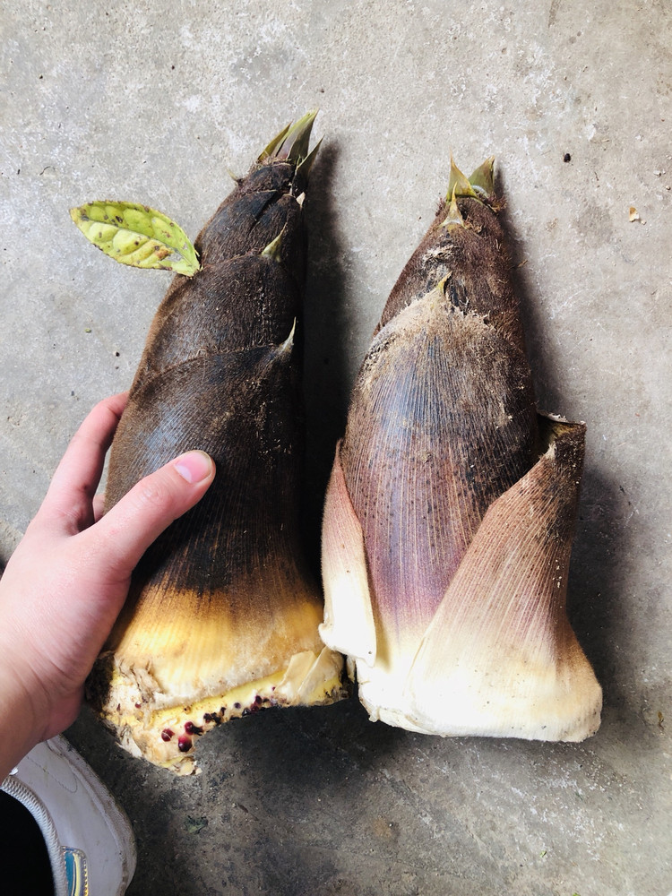 竹笋与五花肉的做法