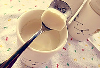 【均衡好营养】自制酸奶的做法