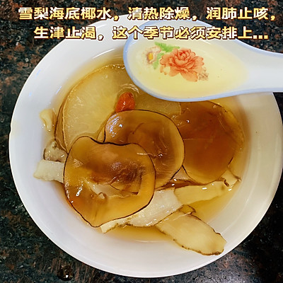 雪梨海底椰水