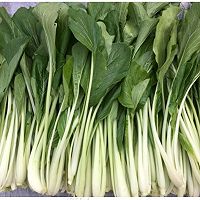 爽口嫩滑的牛肉炒腌菜的做法图解7