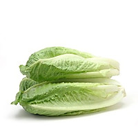 生菜与沙拉酱的做法图解3