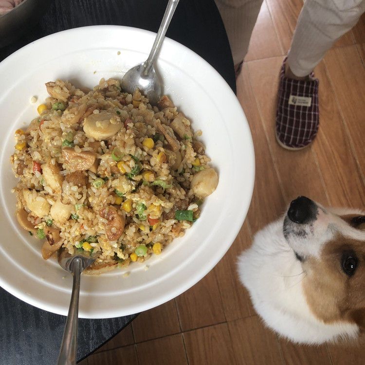 炒饭（猪油渣版）的做法