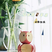 可可爱爱猫头鹰苹果的做法图解8
