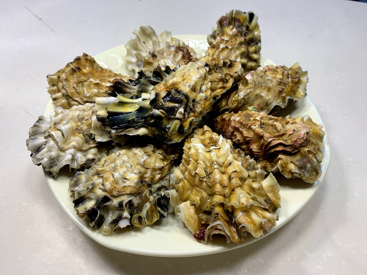 温拌海蛎子怎么做_温拌海蛎子的做法_豆果美食