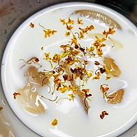 花胶奶冻的做法图解1