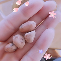 咸脆五香盐焗花生的做法图解12