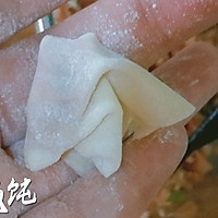 顺家私房菜——猪肉小馄饨 附完整肉馅打水过程的做法图解12