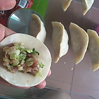 白菜/芹菜猪肉馅水饺的做法图解8