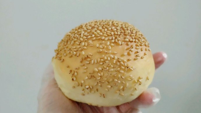 汉堡胚