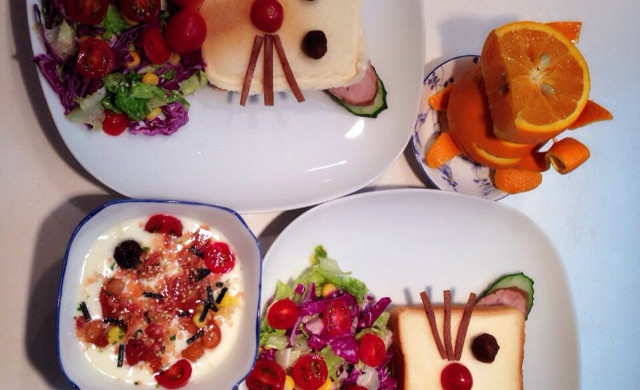 喵先生与喵小姐的邂逅