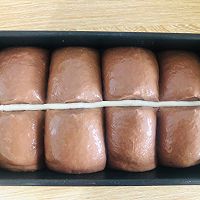 巧克力鲜奶吐司的做法图解15