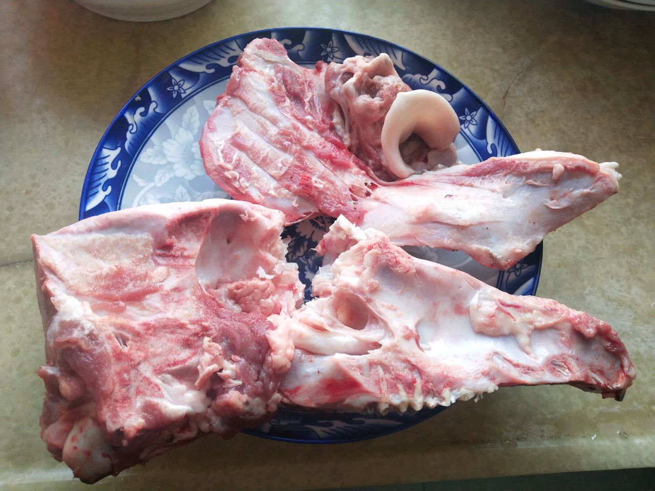 猪头骨结构解剖图图片