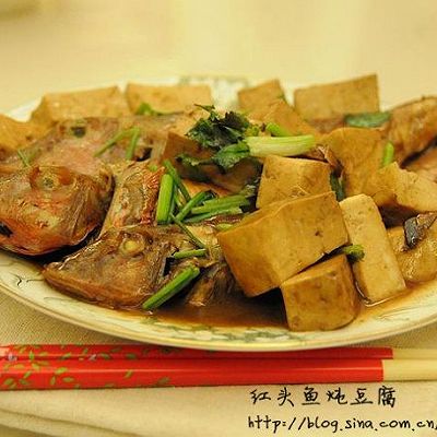 红头鱼烧豆腐