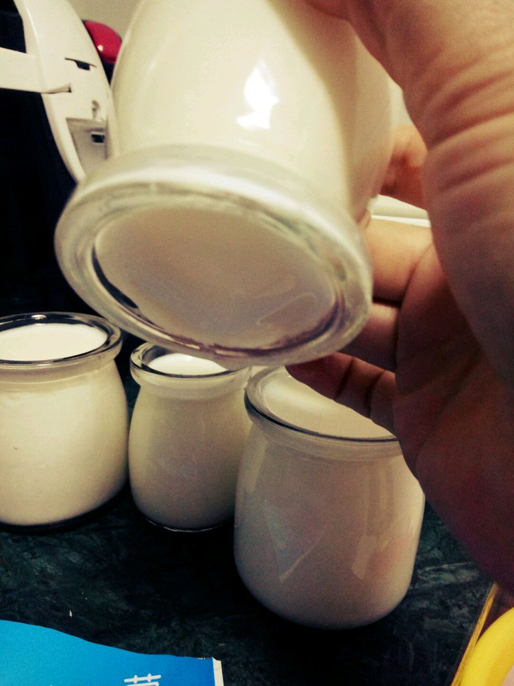 用电炖锅就能做出好酸奶的做法