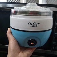 OZ COW自制酸奶的做法图解7