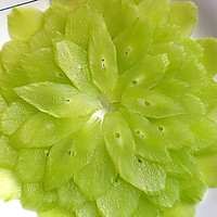 翡翠莴笋的做法图解3