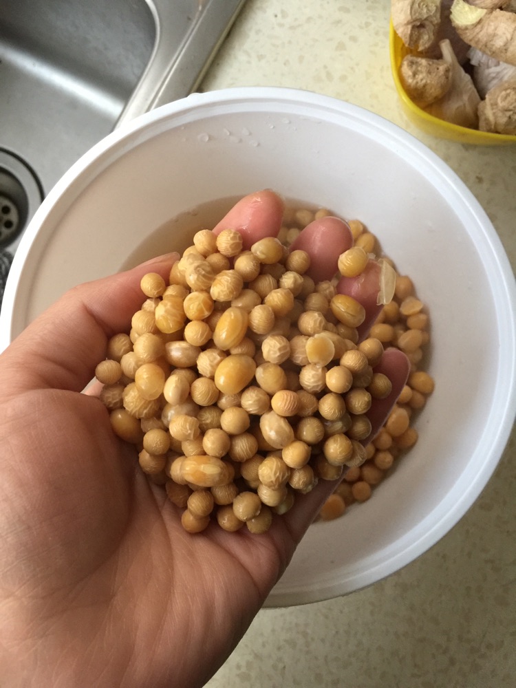 筒子骨黄豆墨鱼汤的做法图解1