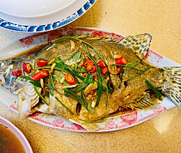#美味中国年#清蒸石斑鱼的做法