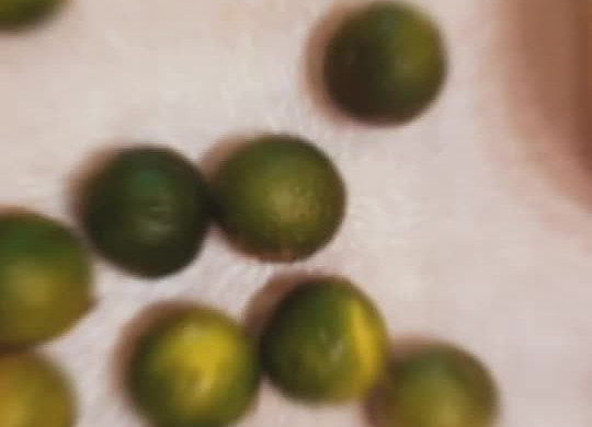 夏日水果茶