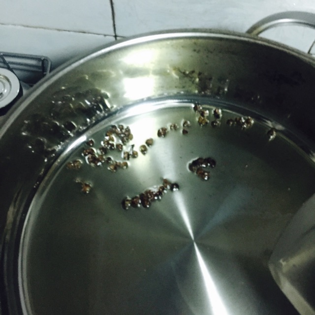 土豆炖牛肉的做法图解7