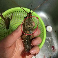 舌尖上的小龙虾的做法图解4