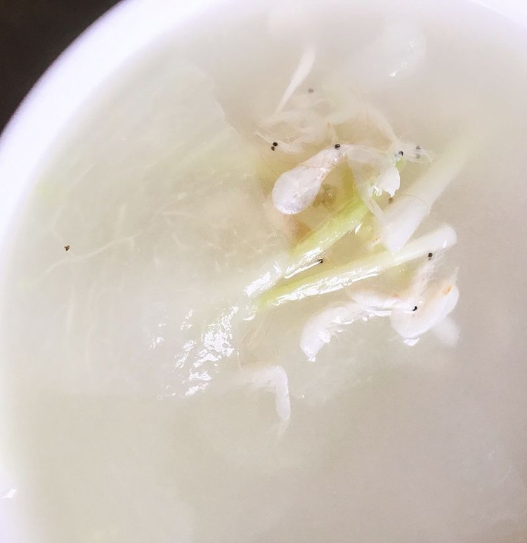 冬瓜虾皮汤的做法