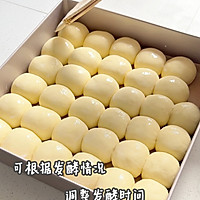 复刻山姆黄油餐包（低糖版）的做法图解5