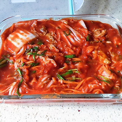 Kimchi ~韩国泡菜