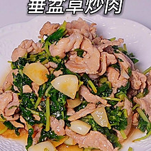 瘦肉炒垂盆草