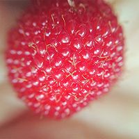 树莓（覆盆子）果酱的做法图解3