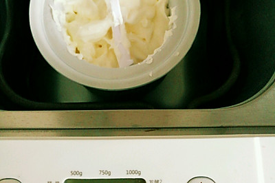 酸奶冰淇淋【柏翠面包机】