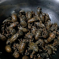 油炸知了猴的做法图解1