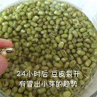 发豆芽&快手凉拌豆芽（视频菜谱）的做法图解2