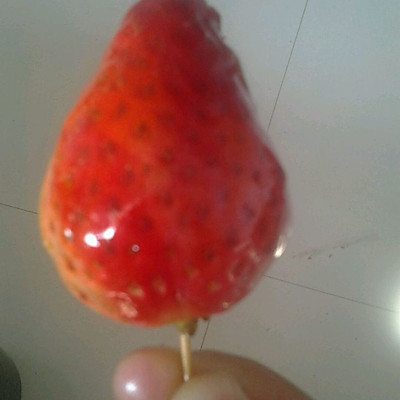 本晴家的夏日冰凉小吃：糖糖草莓