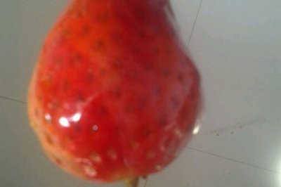 本晴家的夏日冰凉小吃：糖糖草莓