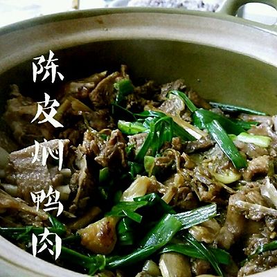 陈皮焖鸭肉