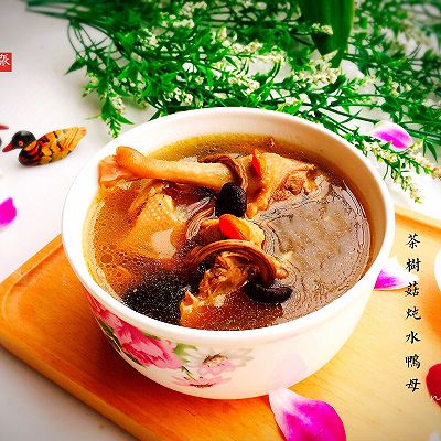 养生汤+茶树菇炖水鸭母