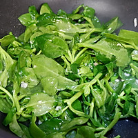蒜蓉田七叶的做法图解5