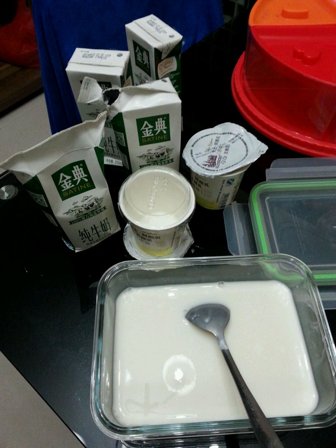 炒酸奶怎么做_炒酸奶的做法_豆果美食
