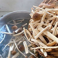 茶树菇龙骨汤的做法图解5