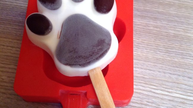 酸奶冰棍-狐尼克的爪爪冰棍的做法